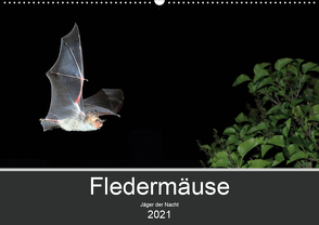 Fledermäuse – Jäger der Nacht (Wandkalender 2021 DIN A2 quer) von Schäfer,  Otto