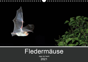 Fledermäuse – Jäger der Nacht (Wandkalender 2021 DIN A3 quer) von Schäfer,  Otto