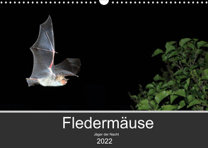 Fledermäuse – Jäger der Nacht (Wandkalender 2022 DIN A3 quer) von Schäfer,  Otto