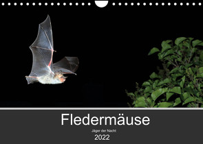 Fledermäuse – Jäger der Nacht (Wandkalender 2022 DIN A4 quer) von Schäfer,  Otto