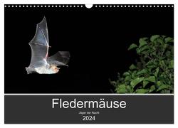 Fledermäuse – Jäger der Nacht (Wandkalender 2024 DIN A3 quer), CALVENDO Monatskalender von Schäfer,  Otto