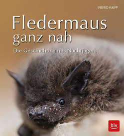 Fledermaus ganz nah von Kaipf,  Ingrid