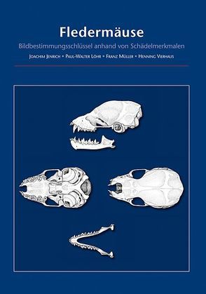 Fledermäuse von Jenrich,  Joachim, Löhr,  Paul-Walter, Müller,  Franz, Vierhaus,  Henning