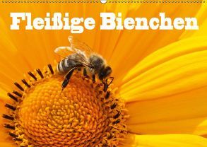 Fleißige Bienchen (Wandkalender 2019 DIN A2 quer) von Wolf,  Jan