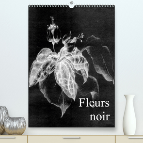 Fleurs noir (Premium, hochwertiger DIN A2 Wandkalender 2021, Kunstdruck in Hochglanz) von Küster,  Friederike