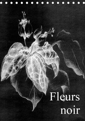 Fleurs noir (Tischkalender 2019 DIN A5 hoch) von Küster,  Friederike