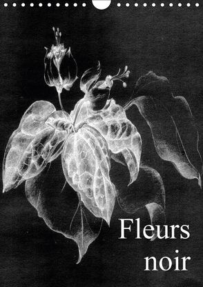 Fleurs noir (Wandkalender 2018 DIN A4 hoch) von Küster,  Friederike