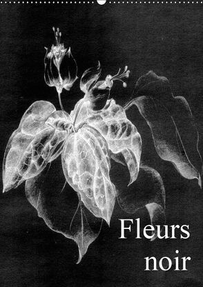 Fleurs noir (Wandkalender 2019 DIN A2 hoch) von Küster,  Friederike