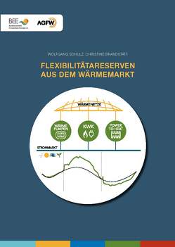 Flexibilitätsreserven aus dem Wärmemarkt von Brandstätt,  Christine, Schulz,  Wolfgang