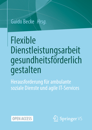 Flexible Dienstleistungsarbeit gesundheitsförderlich gestalten von Becke,  Guido