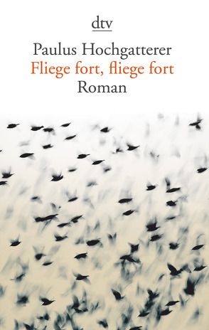 Fliege fort, fliege fort von Hochgatterer,  Paulus