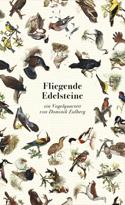 Fliegende Edelsteine von Eulberg,  Dominik