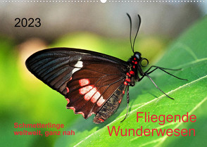 Fliegende Wunderwesen. Schmetterlinge weltweit, ganz nah (Wandkalender 2023 DIN A2 quer) von Zeidler,  Thomas