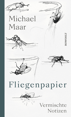 Fliegenpapier von Maar,  Michael