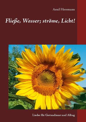 Fließe, Wasser; ströme, Licht! von Herrmann,  Arnd