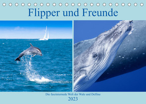 Flipper und Freunde (Tischkalender 2023 DIN A5 quer) von Travelpixx.com