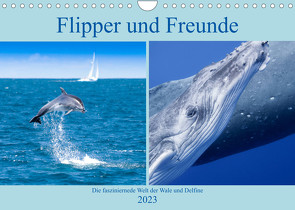 Flipper und Freunde (Wandkalender 2023 DIN A4 quer) von Travelpixx.com