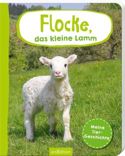 Erste Fotogeschichte: Flocke, das kleine Lamm von Gerber,  Jutta