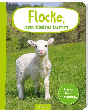 Erste Fotogeschichte: Flocke, das kleine Lamm von Gerber,  Jutta