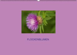 Flockenblumen (Wandkalender immerwährend DIN A2 quer) von Mazunov,  Bogna