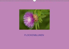 Flockenblumen (Wandkalender immerwährend DIN A3 quer) von Mazunov,  Bogna