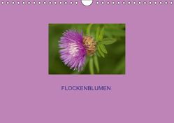 Flockenblumen (Wandkalender immerwährend DIN A4 quer) von Mazunov,  Bogna