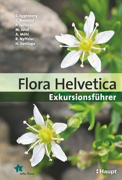 Flora Helvetica – Exkursionsführer von Bornand,  Christophe, Eggenberg,  Stefan, Juillerat,  Philippe, Jutzi,  Michael, Maire,  Anne-Laure, Möhl,  Adrian, Nyffeler,  Reto, Santiago,  Helder, Suhner,  Maiann