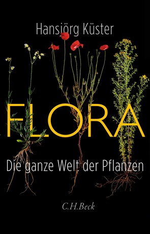 Flora von Küster,  Hansjörg