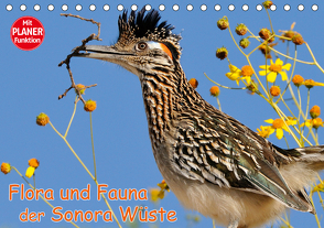 Flora und Fauna der Sonora Wüste (Tischkalender 2021 DIN A5 quer) von Wilczek,  Dieter-M.