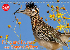 Flora und Fauna der Sonora Wüste (Tischkalender 2022 DIN A5 quer) von Wilczek,  Dieter-M.