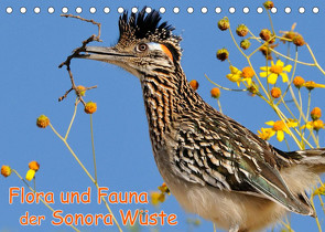 Flora und Fauna der Sonora Wüste (Tischkalender 2023 DIN A5 quer) von Wilczek,  Dieter