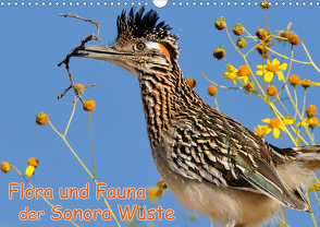 Flora und Fauna der Sonora Wüste (Wandkalender 2021 DIN A3 quer) von Wilczek,  Dieter-M.