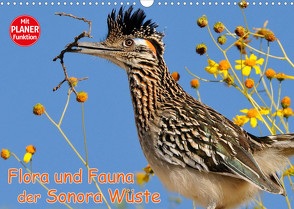 Flora und Fauna der Sonora Wüste (Wandkalender 2022 DIN A3 quer) von Wilczek,  Dieter-M.