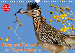 Flora und Fauna der Sonora Wüste (Wandkalender 2022 DIN A4 quer) von Wilczek,  Dieter-M.