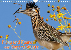 Flora und Fauna der Sonora Wüste (Wandkalender 2023 DIN A4 quer) von Wilczek,  Dieter