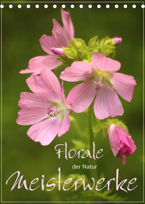 Florale Meisterwerke der Natur (Tischkalender 2022 DIN A5 hoch) von Stamm,  Dirk