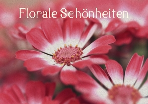 Florale Schönheiten (Tischaufsteller DIN A5 quer) von r.gue.