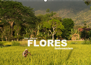 Flores – Indonesien (Wandkalender 2021 DIN A2 quer) von Schickert,  Peter