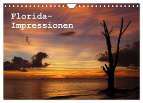 Florida Impressionen (Wandkalender 2024 DIN A4 quer), CALVENDO Monatskalender von Schürholz,  Peter