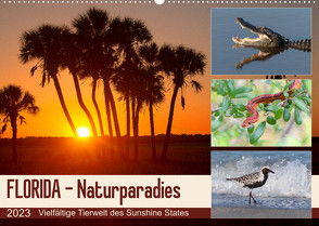 FLORIDA – Naturparadies (Wandkalender 2023 DIN A2 quer) von Eßer,  Kevin