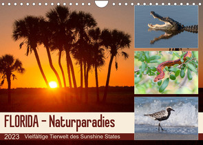 FLORIDA – Naturparadies (Wandkalender 2023 DIN A4 quer) von Eßer,  Kevin