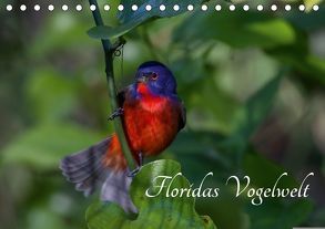 Floridas Vogelwelt (Tischkalender 2018 DIN A5 quer) von Weise / natureinimages.com,  Ralf