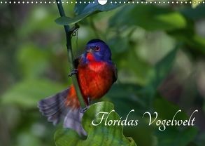 Floridas Vogelwelt (Wandkalender 2018 DIN A3 quer) von Weise / natureinimages.com,  Ralf