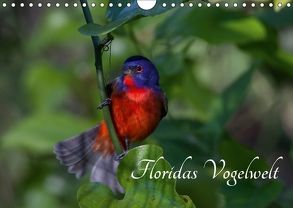 Floridas Vogelwelt (Wandkalender 2018 DIN A4 quer) von Weise / natureinimages.com,  Ralf