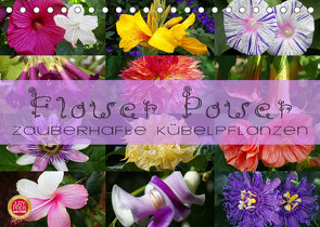 Flower Power – Zauberhafte Kübelpflanzen (Tischkalender 2023 DIN A5 quer) von Cross,  Martina