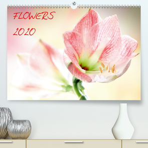 Flowers / 2020 (Premium, hochwertiger DIN A2 Wandkalender 2020, Kunstdruck in Hochglanz) von und Max Waldecker,  Axel