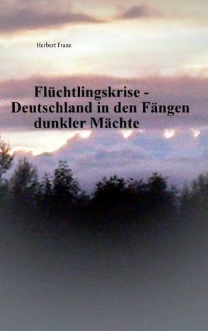 Flüchtlingskrise – Deutschland in den Fängen dunkler Mächte von Franz,  Herbert