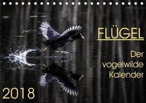 Flügel 2018 Der vogelwilde Kalender (Tischkalender 2018 DIN A5 quer) von van der Wiel,  Irma