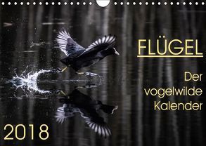 Flügel 2018 Der vogelwilde Kalender (Wandkalender 2018 DIN A4 quer) von van der Wiel,  Irma