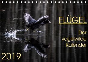 Flügel 2019 Der vogelwilde Kalender (Tischkalender 2019 DIN A5 quer) von van der Wiel,  Irma